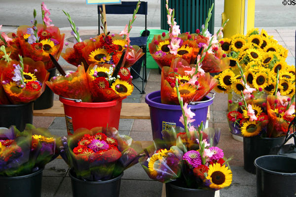 Flower stand on Nicollet Mall. Minneapolis, MN.