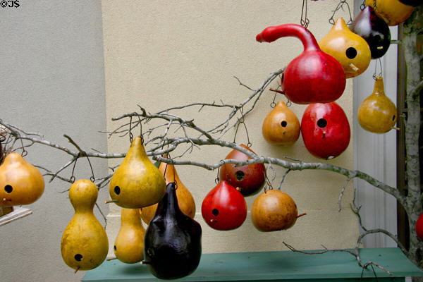 Gourd bird houses at Grand Village shopping center. Branson, MO.