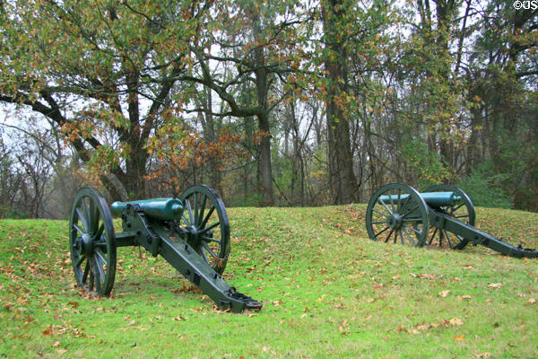 Artillery pieces in woods. Vicksburg, MS.
