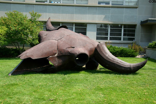 Sculpted bison skull called Herd Bull (1990) by James J. Hadcock at Montana Historical Society museum. Helena, MT.