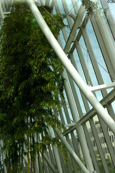 Interior of atrium of One First National Center. Omaha, NE.