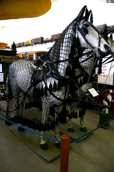 Netting used by Nebraska horses to keep flies away at Warp Pioneer Village. Minden, NE.