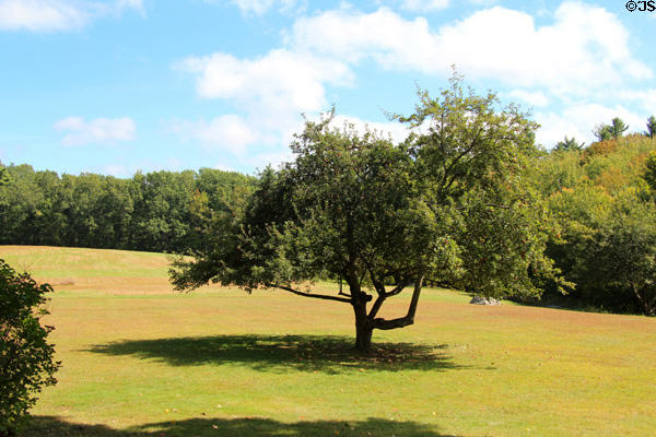 Farm field at Robert Frost Farm. Derry, NH.