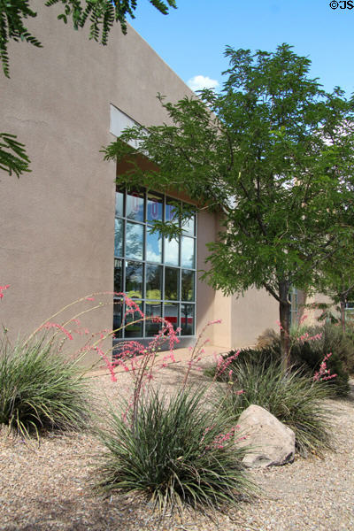 Landscaping at University of New Mexico. Albuquerque, NM.