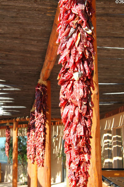 Chili pepper bunch at Visitor Center of Petroglyph National Monument. Albuquerque, NM.