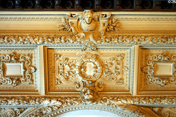 Ceiling plasterwork detail in Vanderbilt Mansion. Hyde Park, NY.