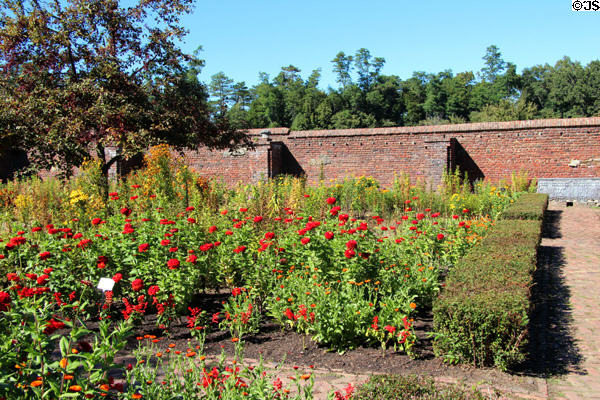 Flowers in Fort Ticonderoga Garrison Gardens. Ticonderoga, NY.