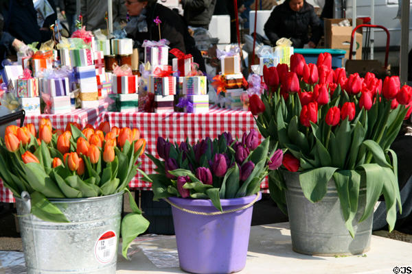 Flower market on Union Square. New York, NY.