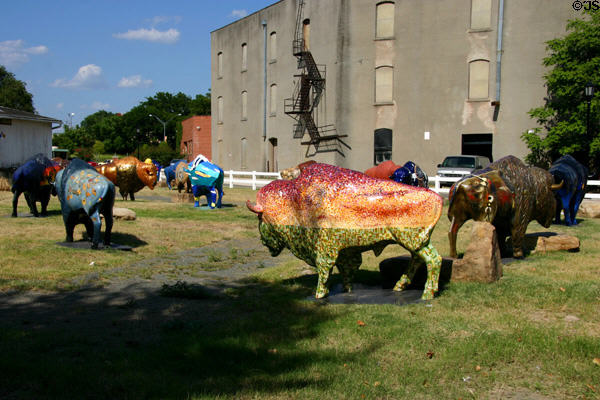 Bricktown Corral where Spirit of the Buffalo street art displayed in herds as part of Oklahoma Centennial project. Oklahoma City, OK.