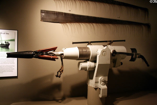 Whale harpoon & baleen at Columbia River Maritime Museum. Astoria, OR.