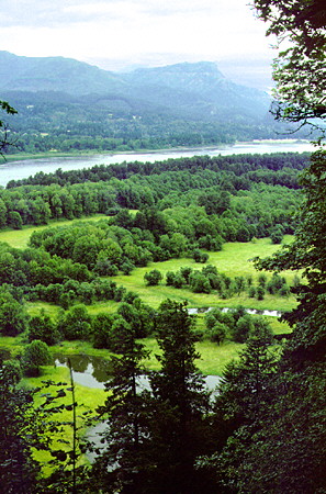 Columbia River Gorge. OR.