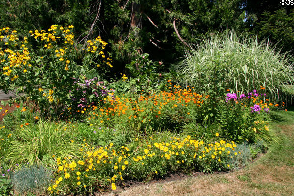 Landscaping on University of Oregon campus. Eugene, OR.