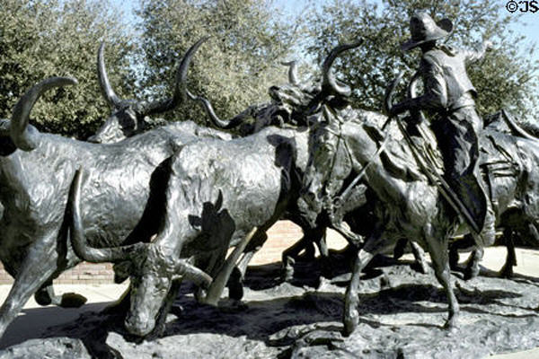 Sculpture group of cowboy driving steers in Stockyards National Historic District. Fort Worth, TX.