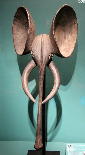 Wooden elephant mask (20thC) from Cameroon at Museum of Fine Arts, Houston. Houston, TX.