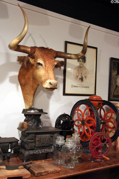 Longhorn head on wall over coffee grinder of General Store at Sam Houston Park. Houston, TX.