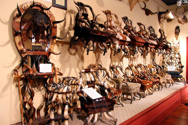 Collection of cattle horn chairs & furniture at Buckhorn Museum. San Antonio, TX.