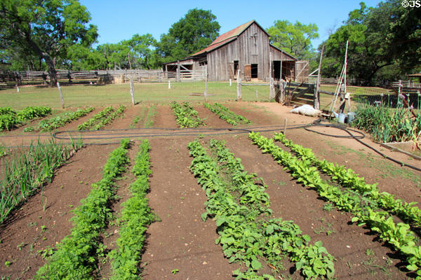 Garden at Sauer-Beckmann Farmstead of Lyndon B. Johnson State Park. Stonewall, TX.