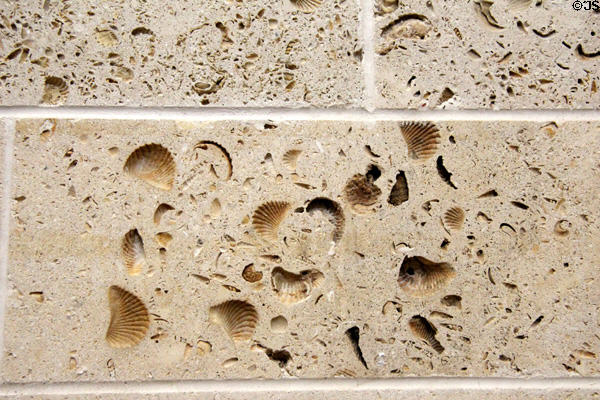 Native Texas shellstone walls of Amon Carter Museum of American Art. Fort Worth, TX.