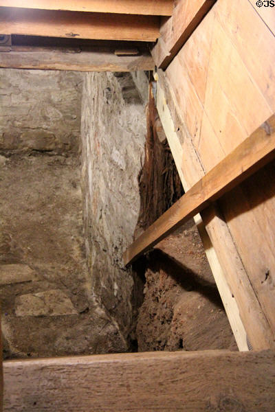 Ladder to wine cellar at French Legation Museum. Austin, TX.