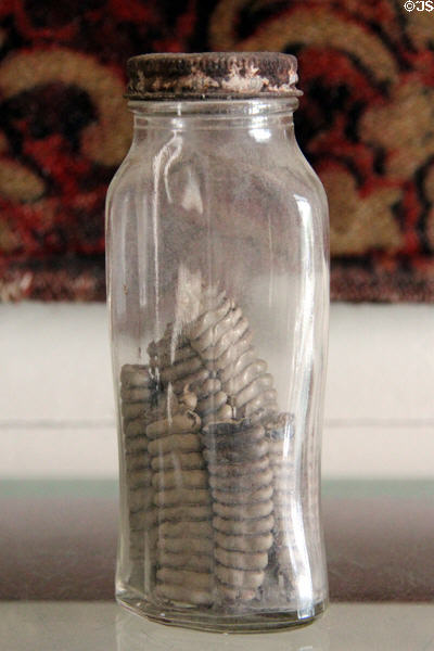 Jar with rattlesnake rattles at Pioneer Village. Gonzales, TX.