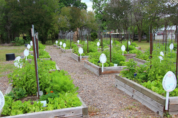 Eggleston House Children's Garden. Gonzales, TX.