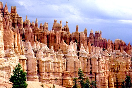 Hoodoos in Bryce Canyon National Park. UT.