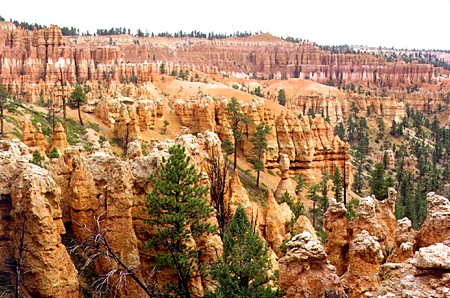 Formations of Bryce Canyon National Park. UT.