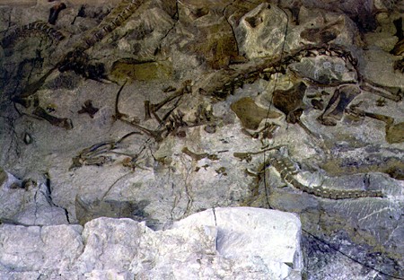 Dinosaur National Monument. UT.
