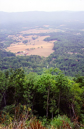 Looking down into valley of Shenandoah National Park. VA.