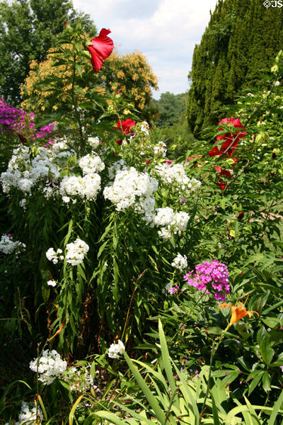 Flower displays at Maymont. Richmond, VA.