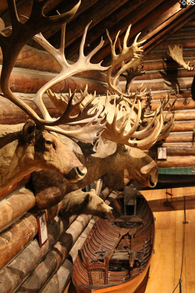 Hunting trophies in Beach Lodge at Shelburne Museum. Shelburne, VT.