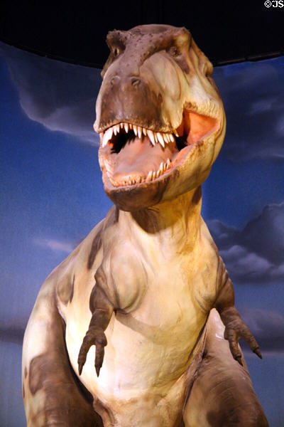 Tyrannosaurus rex robot at Pacific Science Center. Seattle, WA.