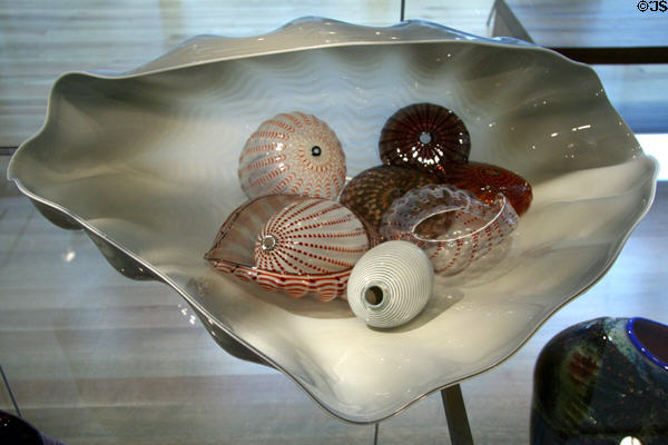 Seaform Set (1982) by Dale Chihuly in glass collection of Seattle Art Museum. Seattle, WA.