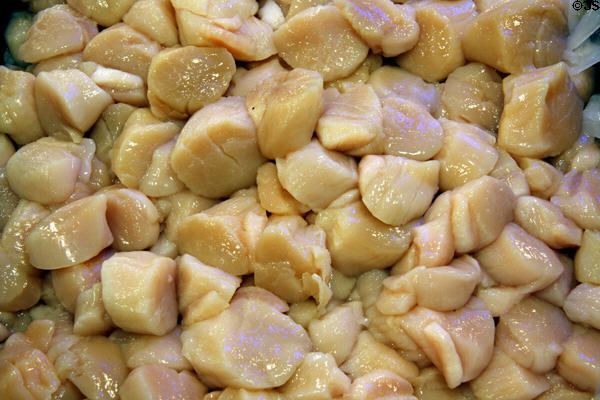 Scallops in Pike Place Market. Seattle, WA.