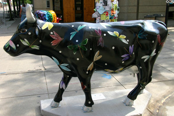 Cowflies by Rebecca M. Belligan in Madison CowParade. Madison, WI.