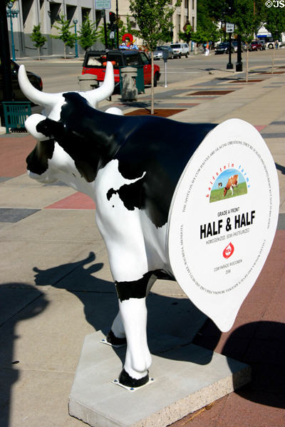 Creamer half of Half & Half by Michael Roberts in Madison CowParade. Madison, WI.