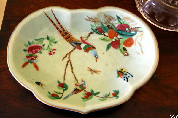 Dish decorated with exotic bird at Craik-Patton House. Charleston, WV.
