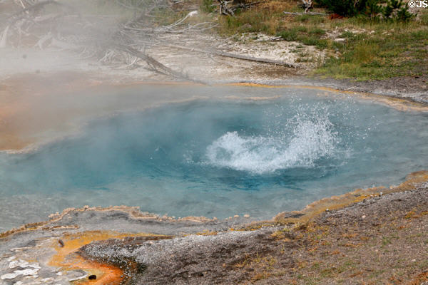Detail of Great Fountain Geyser at Yellowstone National Park. WY.