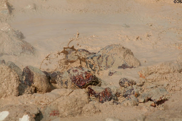 Mud erupts at Fountain Paint Pots at Yellowstone National Park. WY.