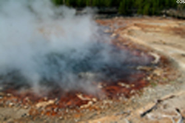 Colored pool in Norris Geyser Basin at Yellowstone National Park. WY.