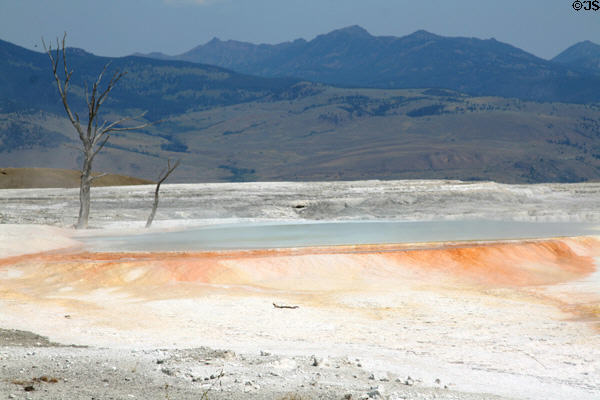 Landscape around Mammoth Hot Springs in Yellowstone National Park. WY.