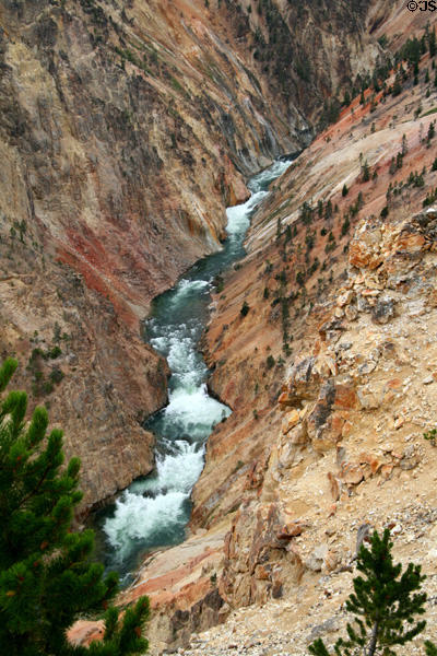 Looking down to Grand Canyon of the Yellowstone in Yellowstone National Park. WY.