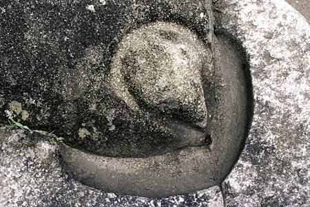 Carved condor head on sacrificial rock with channel for blood of llamas at Condor Temple, Machu Picchu. Peru.