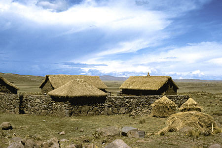 Thatched farm houses near Puno. Peru.