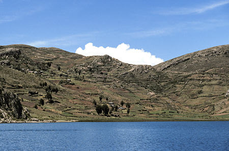Terraced farms along Lake Titicaca shoreline. Peru.