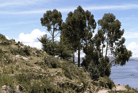 Fallow fields on Tequila Island in Lake Titicaca. Peru.