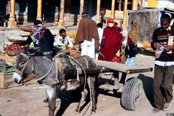 Donkey pulls a cart through streets of Mandawa. Mandawa, India.