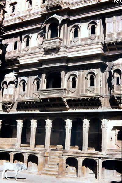 A cow stands outside Patwan Ki havelis in Jaiselmer. India.