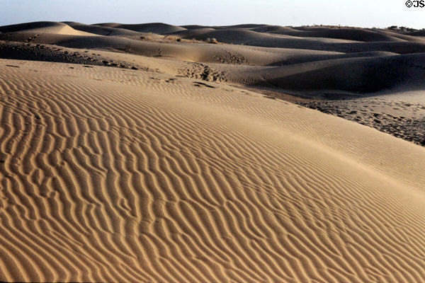 Sand patterns at Sam Sand Dunes. India.