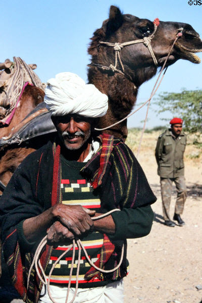 Camels & men on road from Jaiselmer to Jodpur. India.